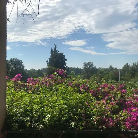 U Ricordu アパート *