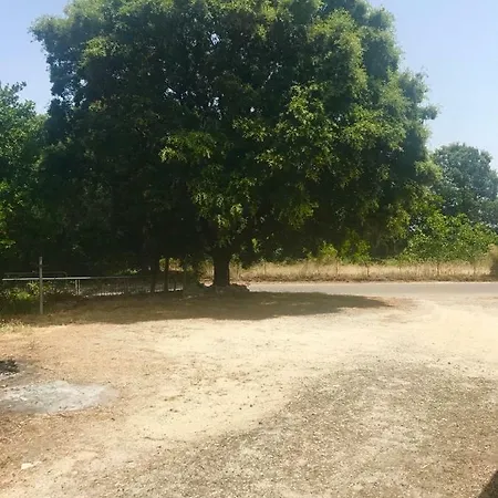 U Ricordu アパート *